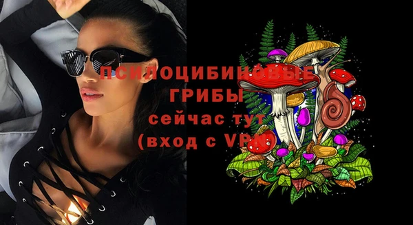 амфетамин Елизово