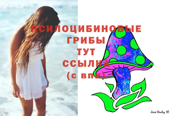 амфетамин Елизово