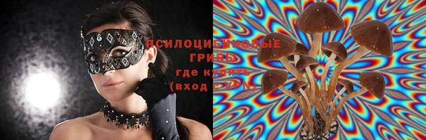 гашик Заволжье