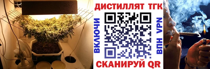 Купить где Игарка Дистиллят ТГК Wax